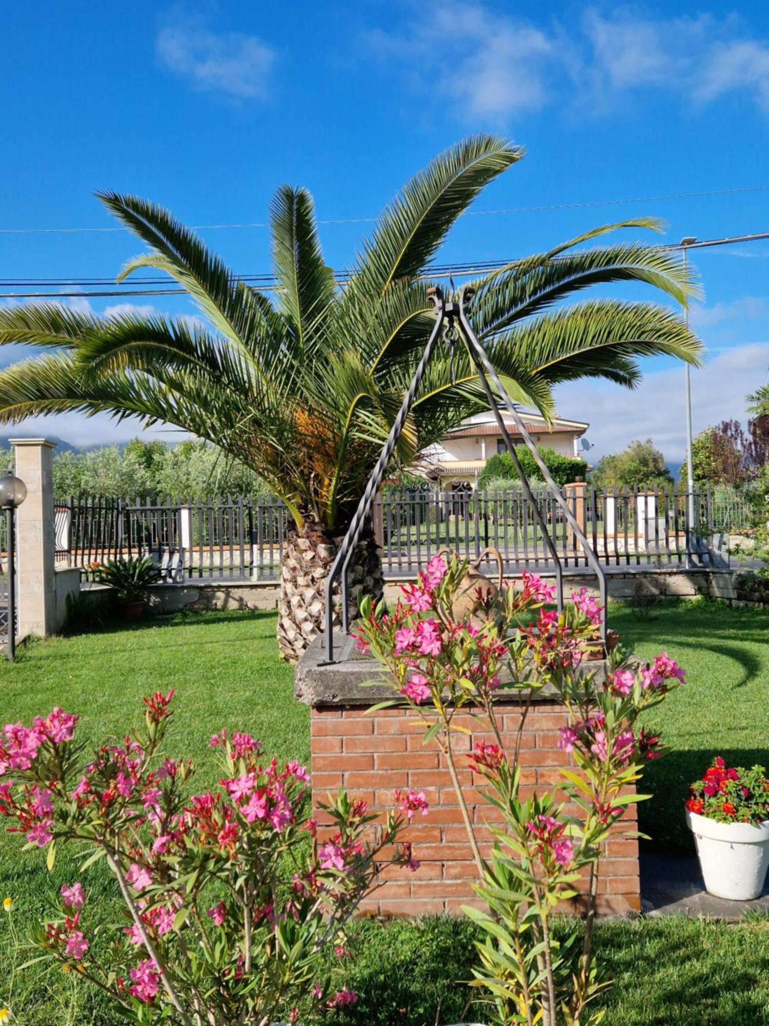 Relax In Campagna - Aquino Apartment Exterior foto